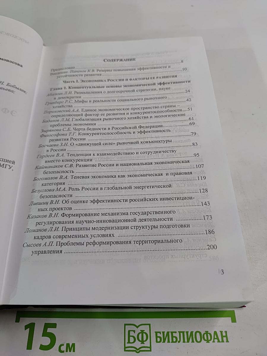 Экономическая эффективность развития России