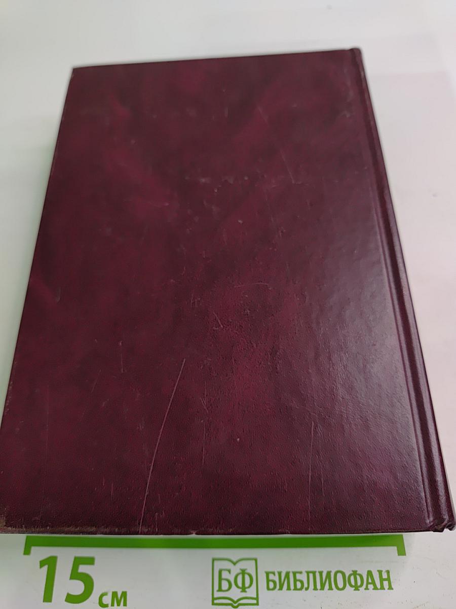 Экономическая эффективность развития России