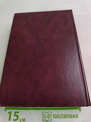 Экономическая эффективность развития России