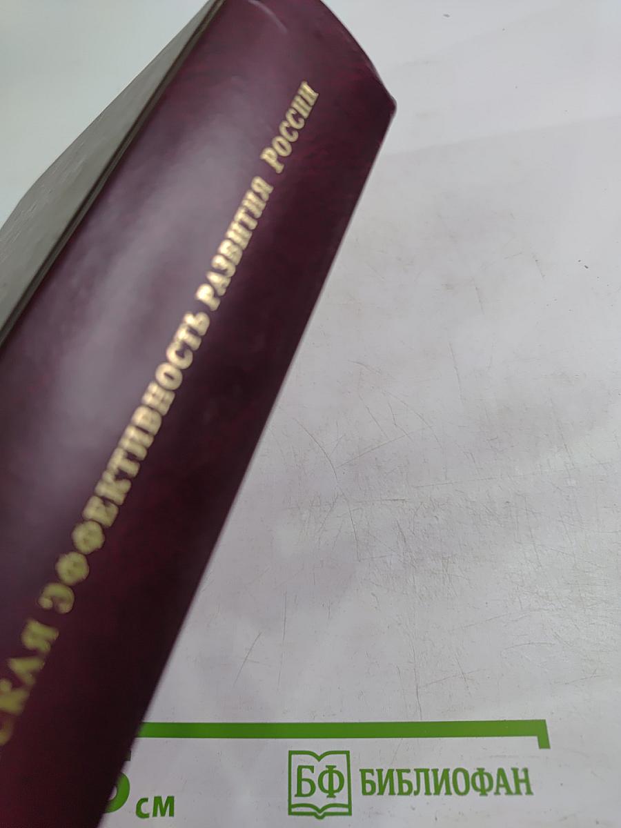 Экономическая эффективность развития России