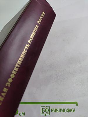 Экономическая эффективность развития России