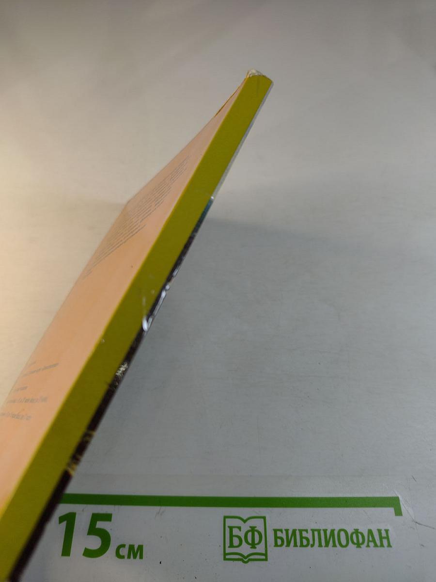 Государственный музей изобразительных искусств имени А.С. Пушкина. Путеводитель по картинной галерее