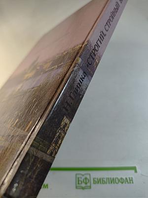 Строгий, стройный вид...