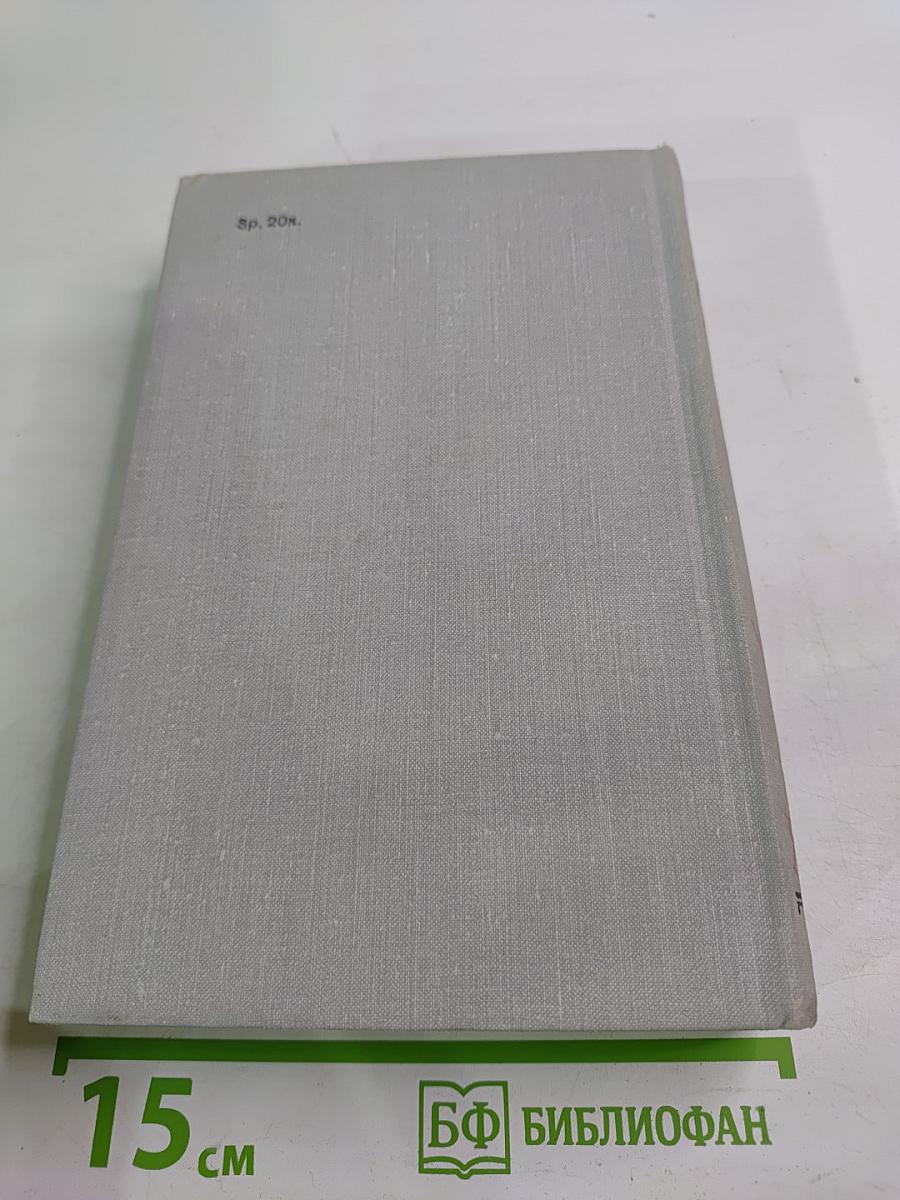 Виконт де Бражелон или Десять лет спустя. Том II