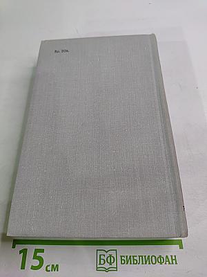 Виконт де Бражелон или Десять лет спустя. Том II