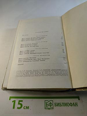 Братья Карамазовы