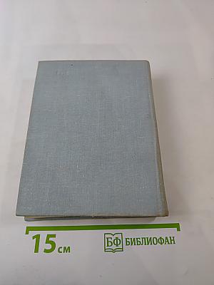 Завтрашние заботы