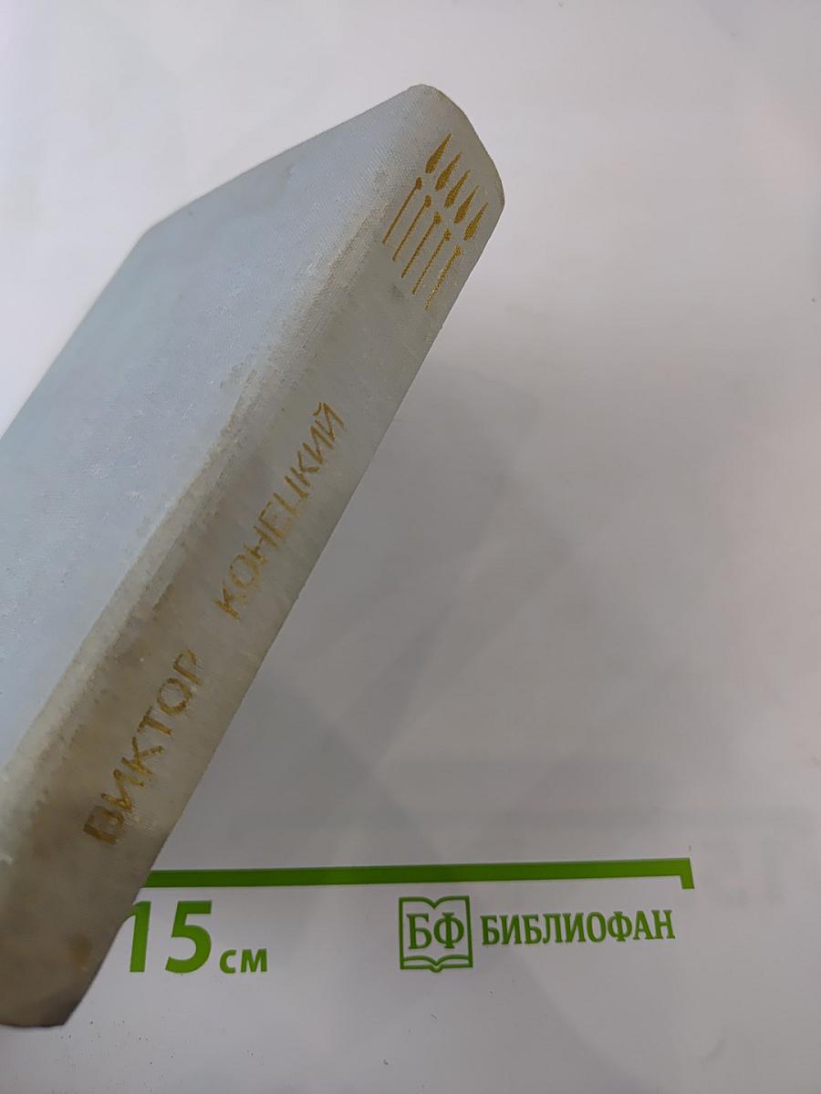 Завтрашние заботы