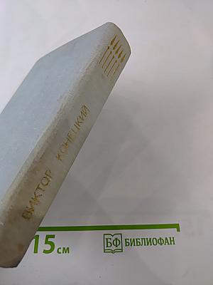 Завтрашние заботы