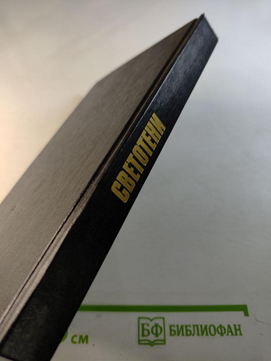 Светотени. Политический детектив