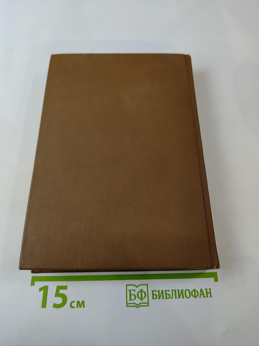 Прекрасная Дама. Из средневековой лирики