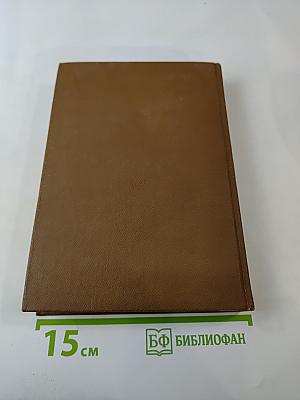 Прекрасная Дама. Из средневековой лирики