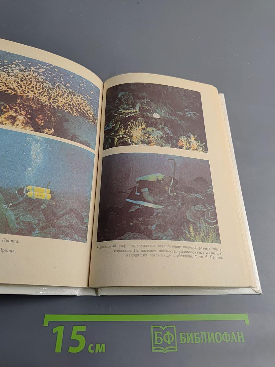 Под водой — биологи