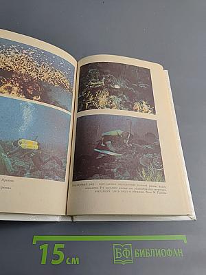 Под водой — биологи