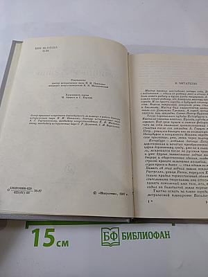 Доминико Трезини