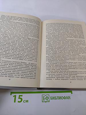 Доминико Трезини