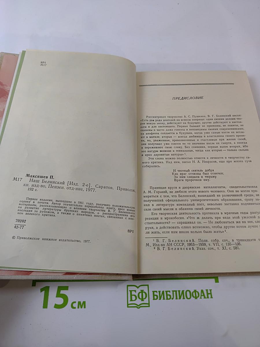 Наш Белинский