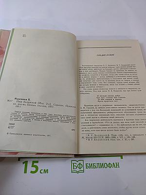 Наш Белинский