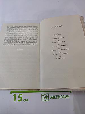 Наш Белинский