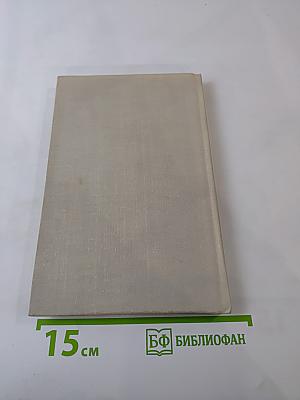 Наш Белинский