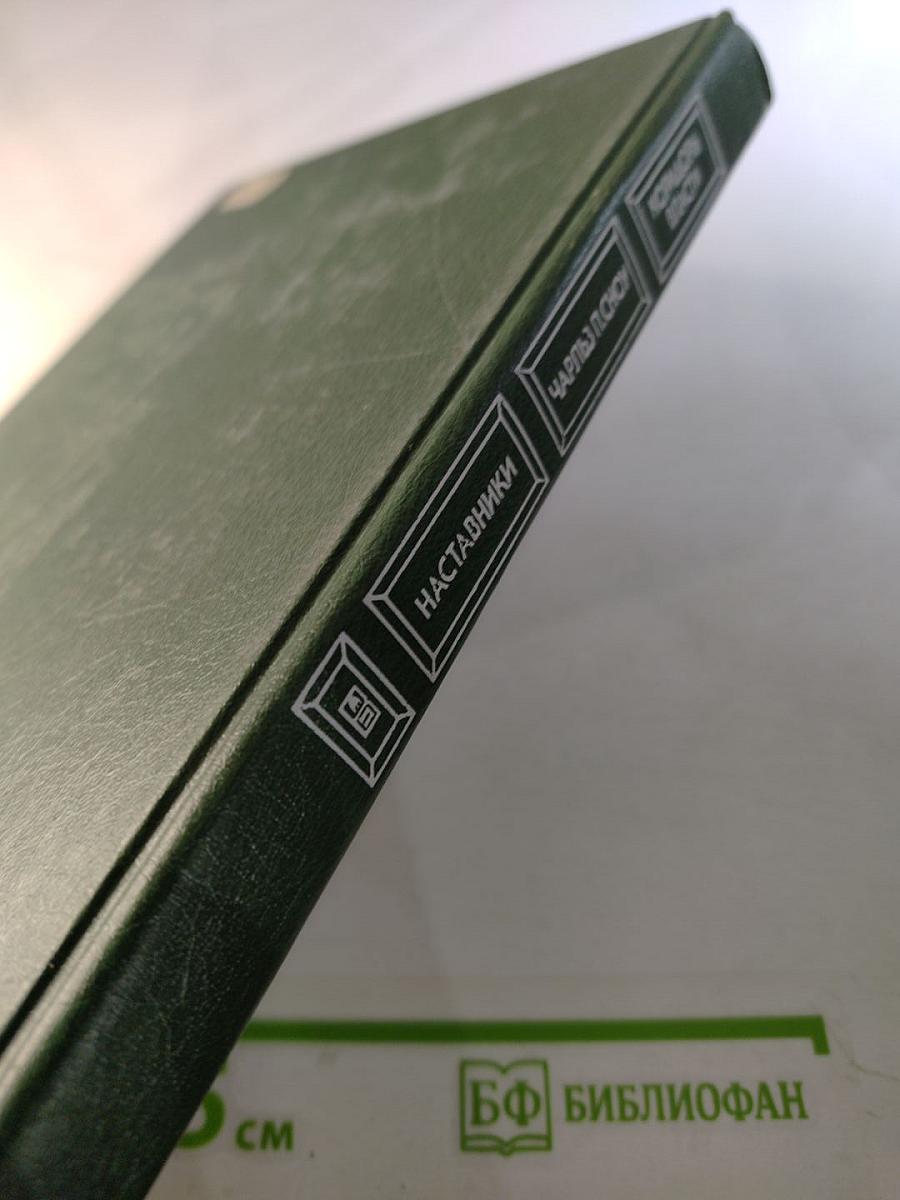 Наставники. Коридоры власти