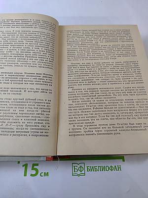 Лисица на чердаке. Деревянная пастушка