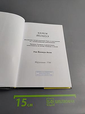 Керем Йеошуа. Как достичь ясного и четкого понимания при изучении Талмуда
