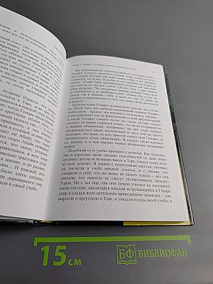 Керем Йеошуа. Как достичь ясного и четкого понимания при изучении Талмуда