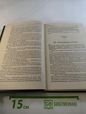 Воля судьбы. Забытые хоромы. Книга 2