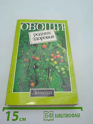 Овощи: родник здоровья
