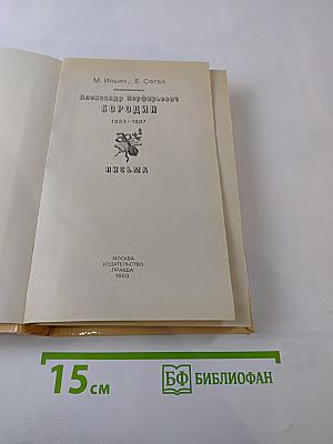 Александр Порфирьевич Бородин. Письма
