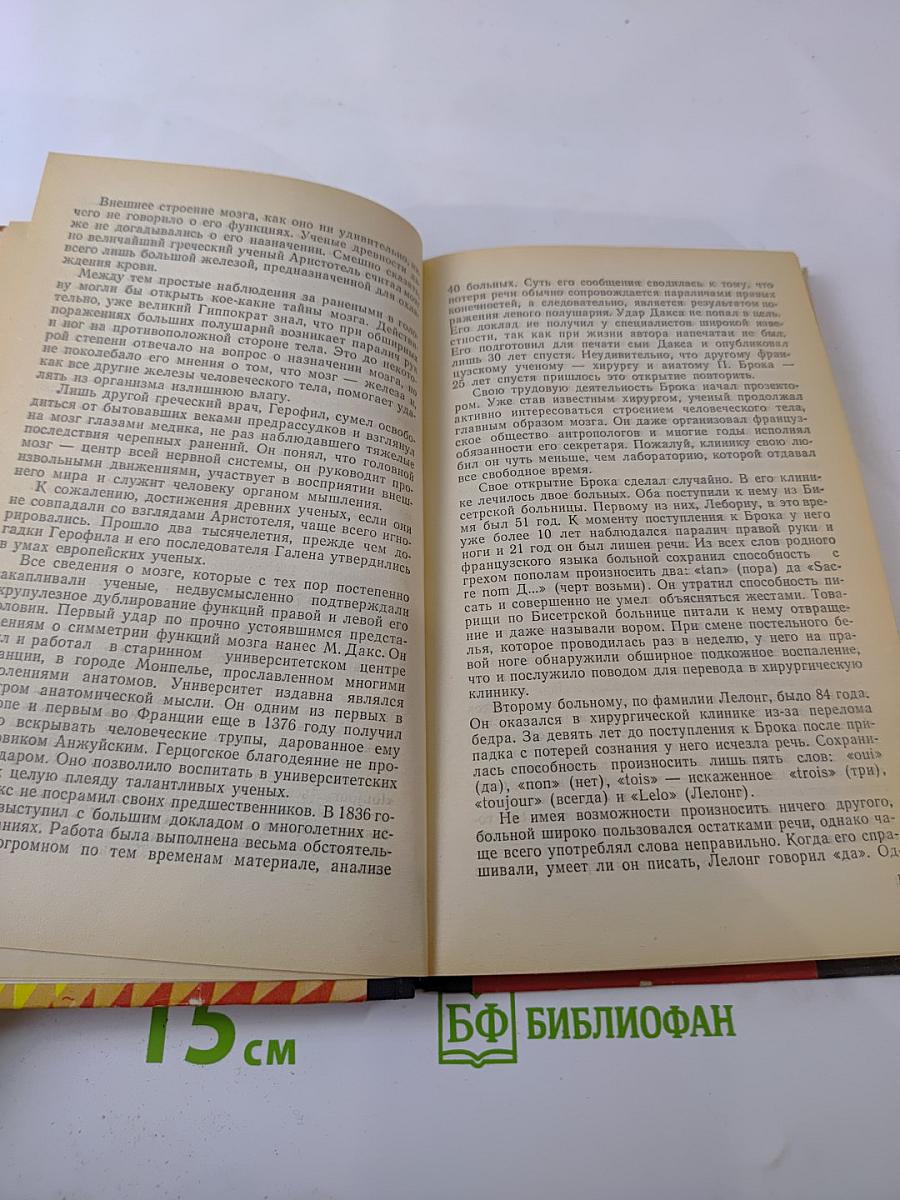 Ум хорошо...