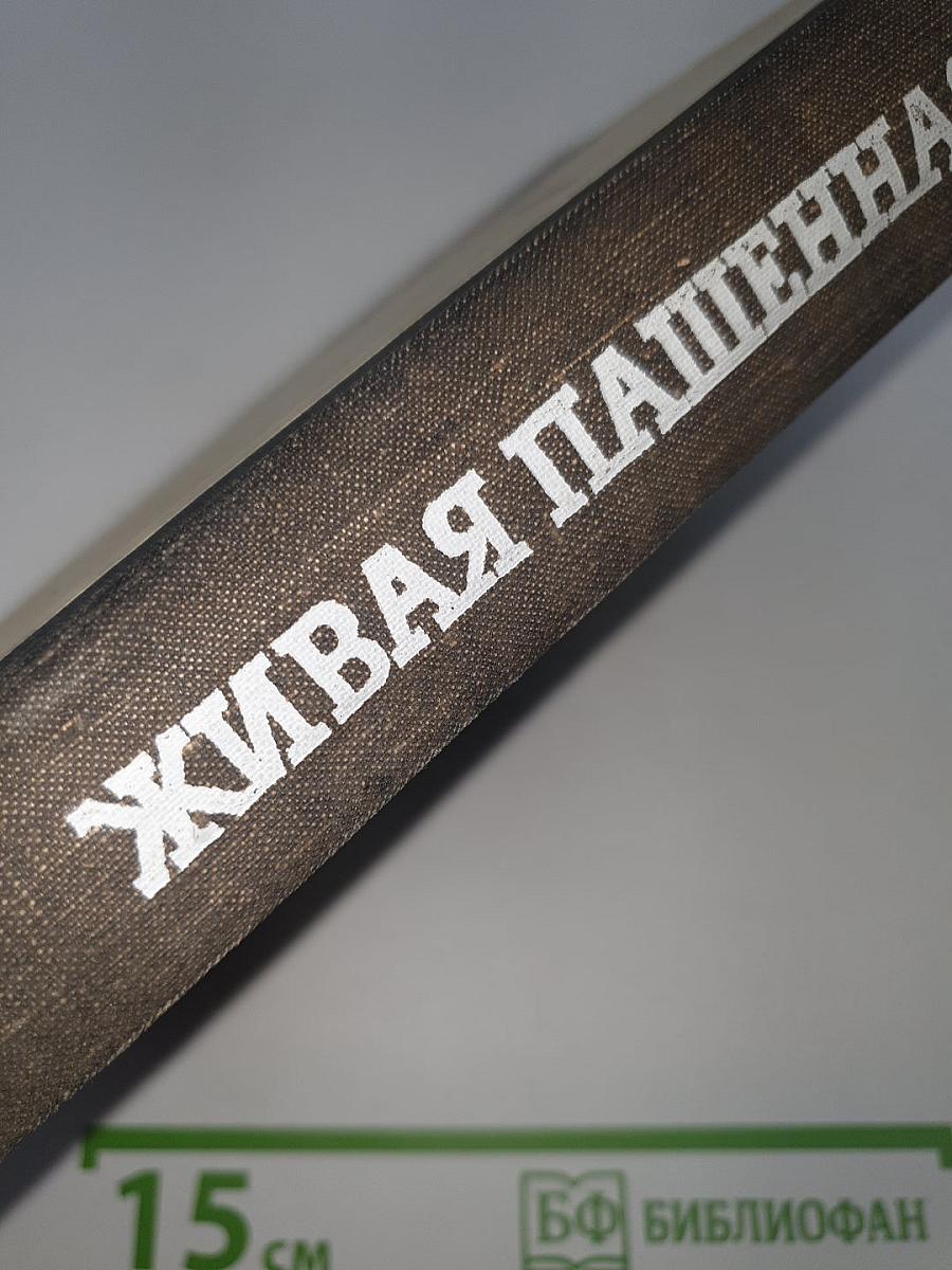 Живая Пашенная