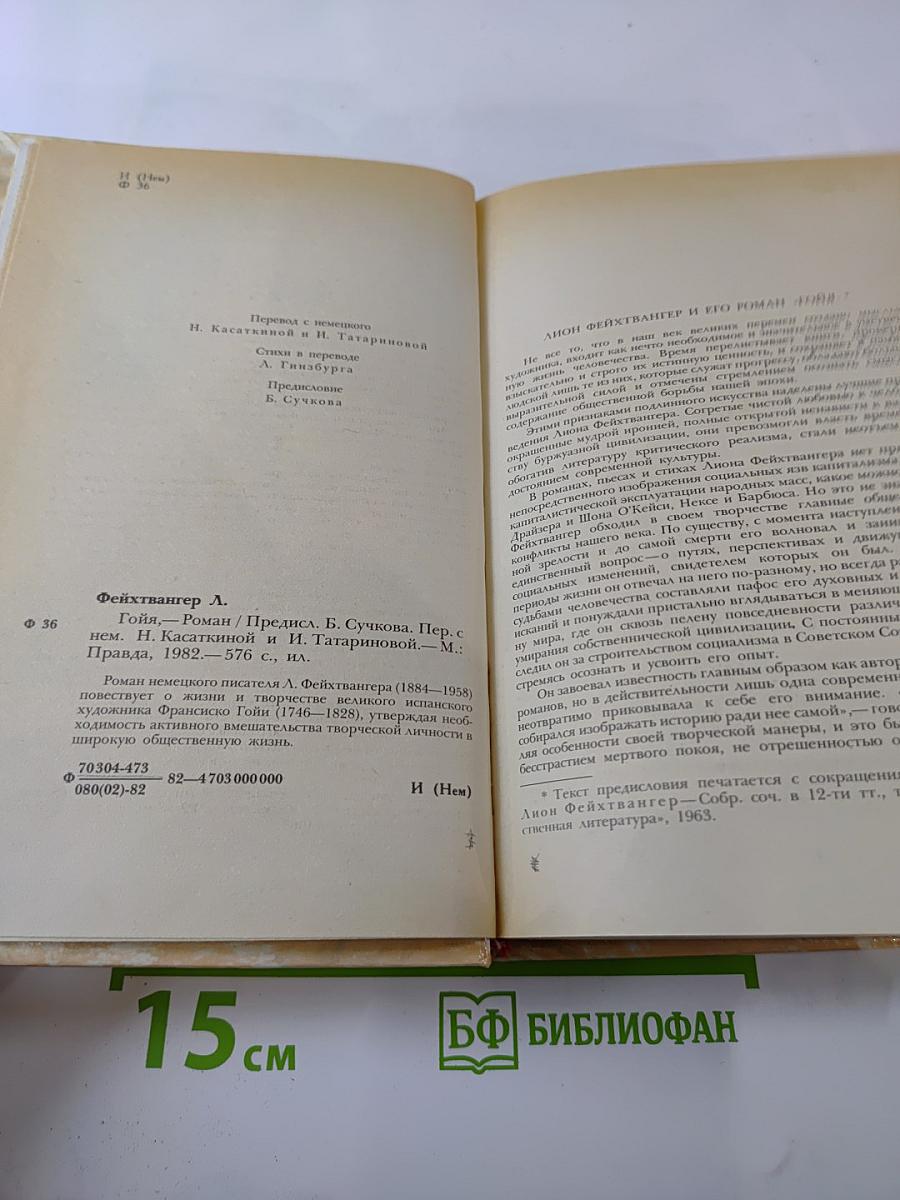 Гойя, или Тяжкий путь познания