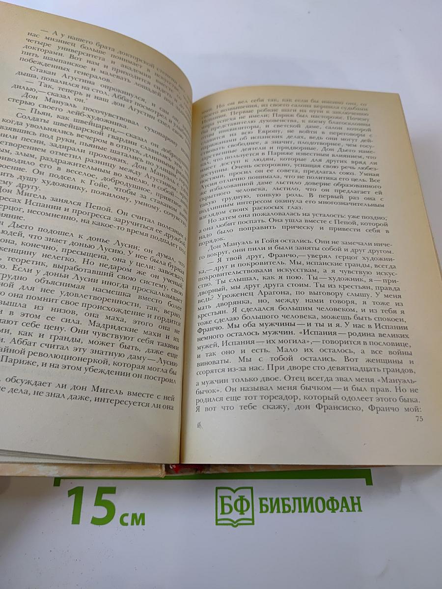 Гойя, или Тяжкий путь познания