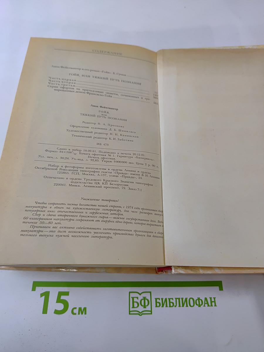 Гойя, или Тяжкий путь познания