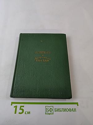 Дворянское гнездо