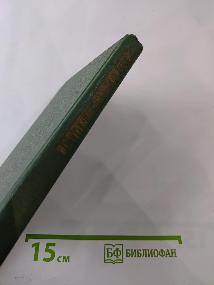 Дворянское гнездо