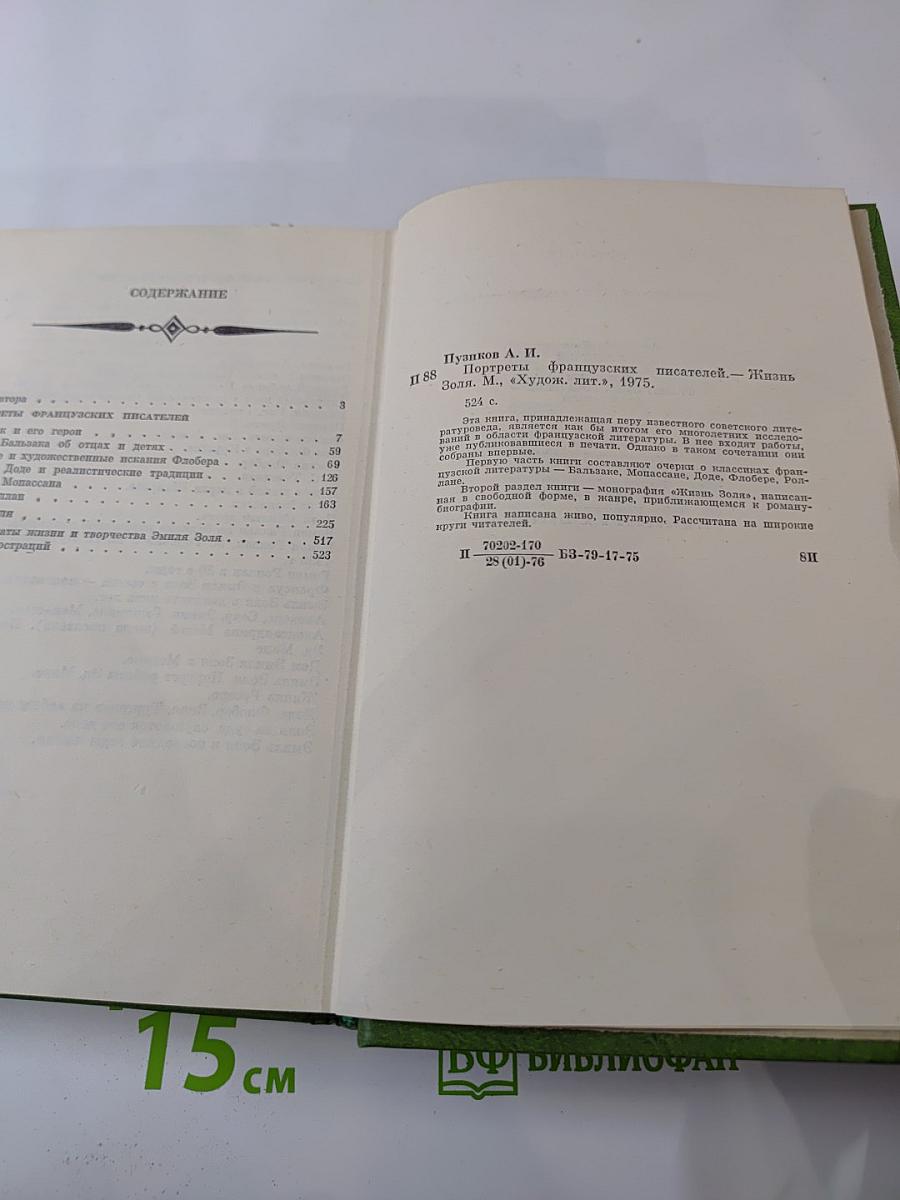 Портреты французских писателей. Жизнь Золя