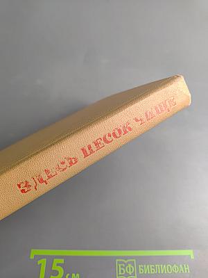 Здесь песок чище