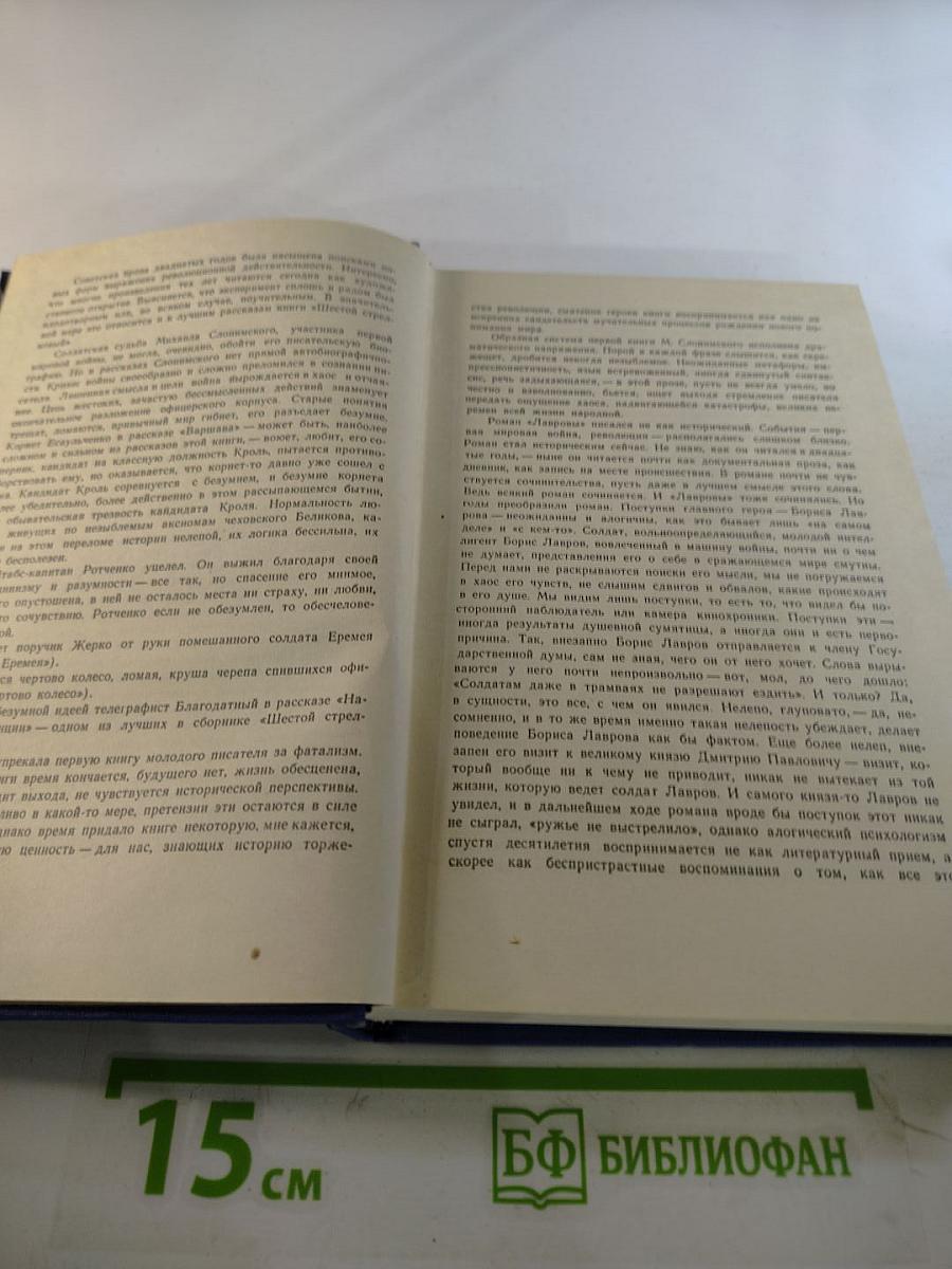 Собрание сочинений. Том 1: Рассказы 1921-1926, Лавровы