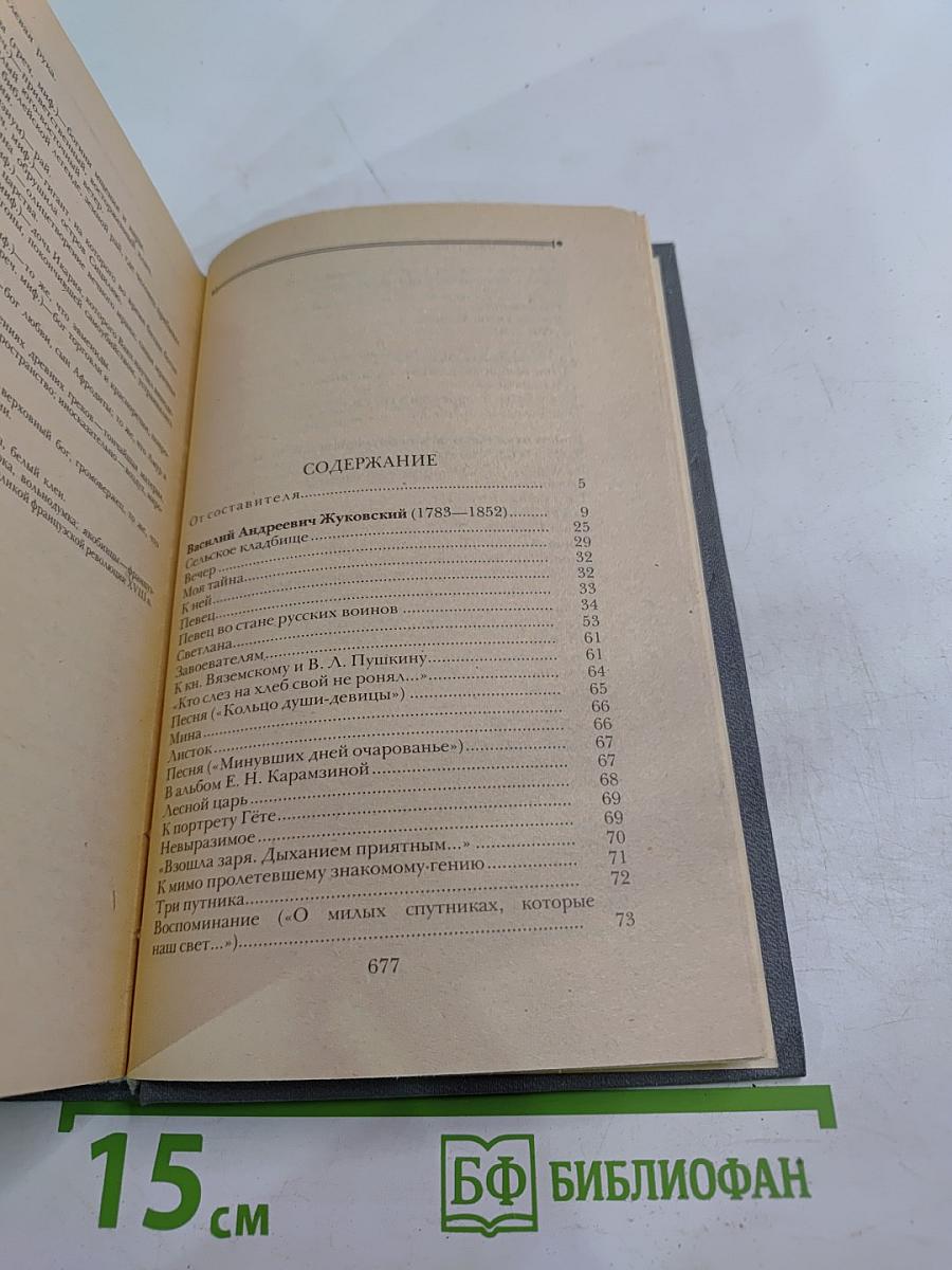 Поэты пушкинского круга