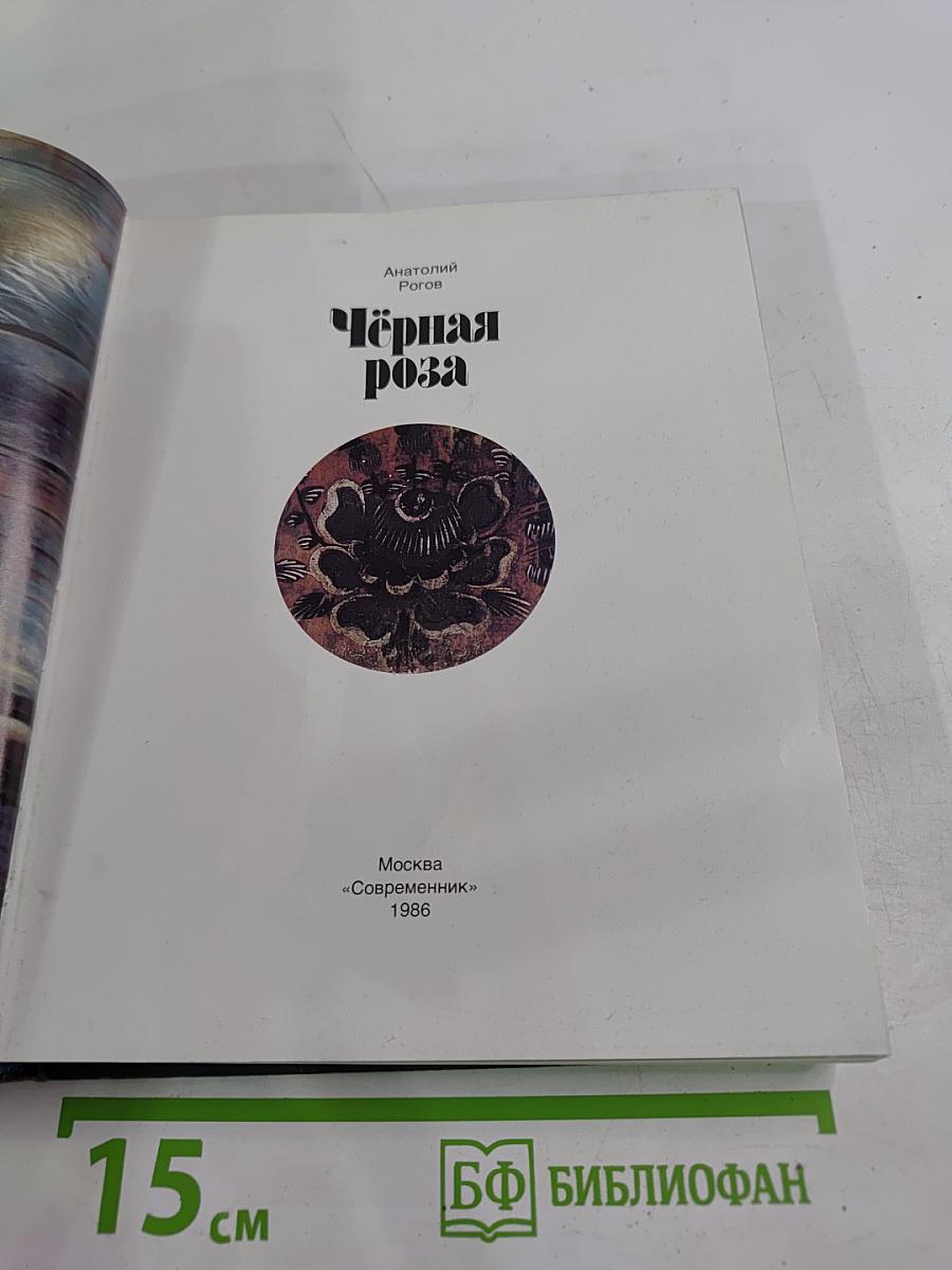 Чёрная роза