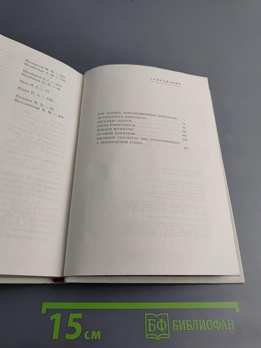 У Кремлевской стены