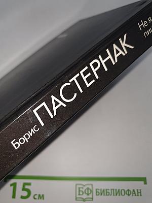 Не я пишу стихи...
