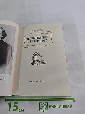 Чернышевский в Петербурге