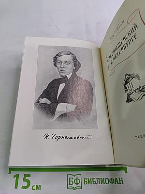 Чернышевский в Петербурге