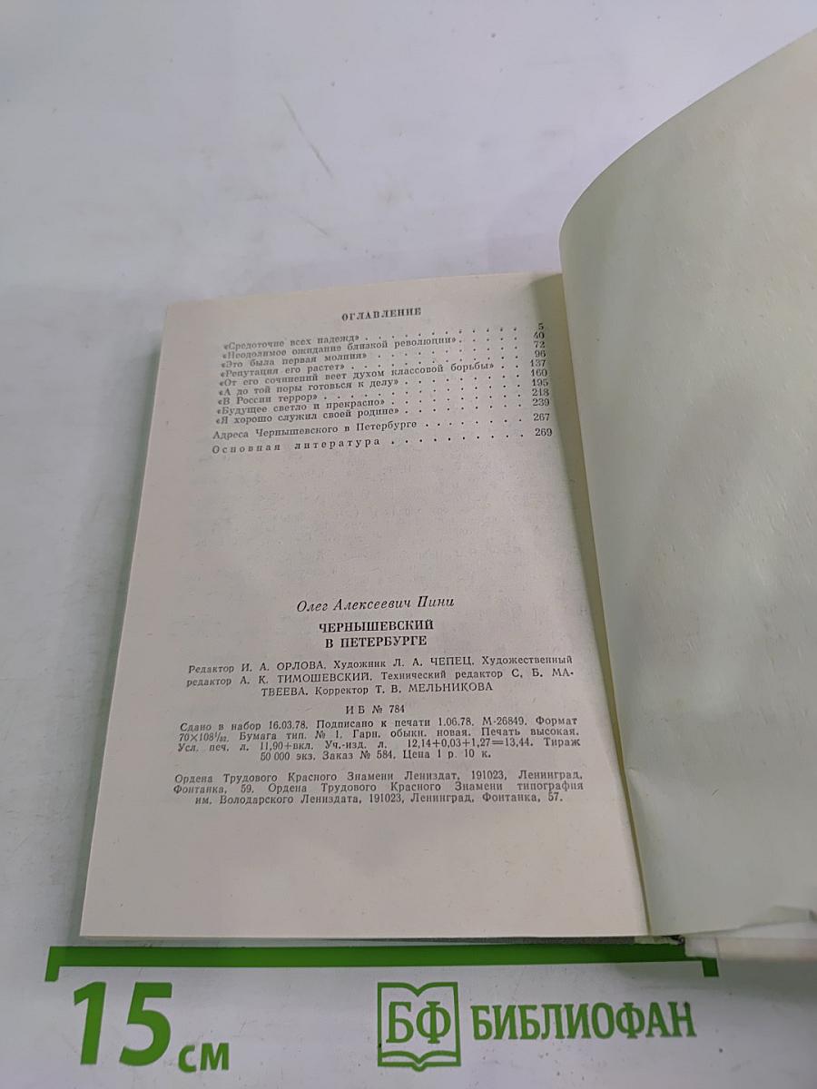 Чернышевский в Петербурге