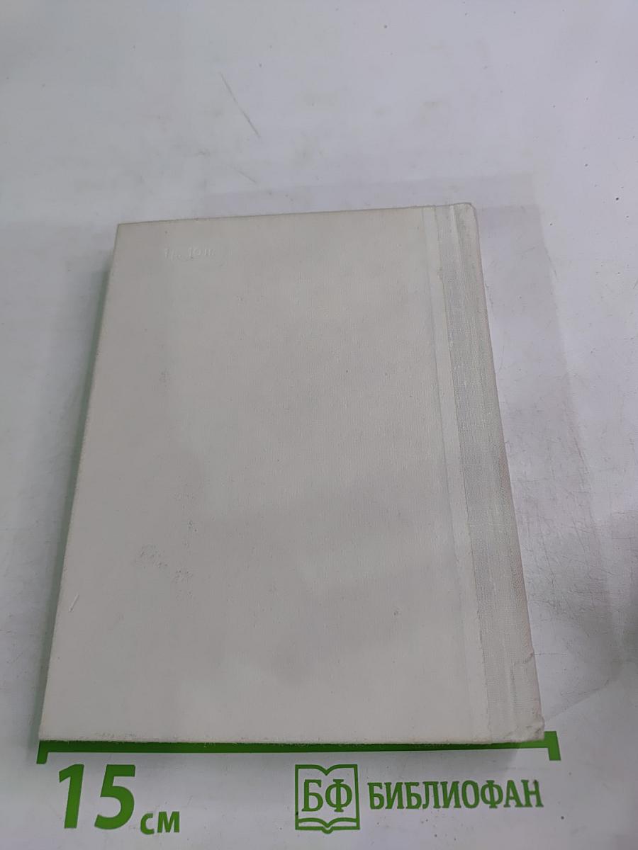 Чернышевский в Петербурге