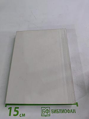 Чернышевский в Петербурге